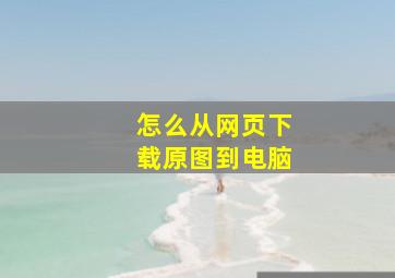 怎么从网页下载原图到电脑