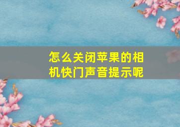 怎么关闭苹果的相机快门声音提示呢