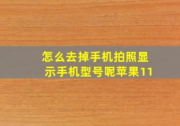 怎么去掉手机拍照显示手机型号呢苹果11