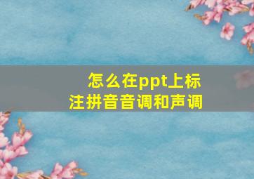 怎么在ppt上标注拼音音调和声调