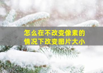 怎么在不改变像素的情况下改变图片大小