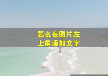 怎么在图片左上角添加文字