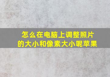 怎么在电脑上调整照片的大小和像素大小呢苹果