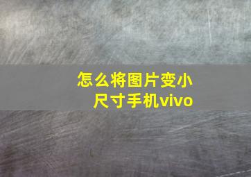 怎么将图片变小尺寸手机vivo