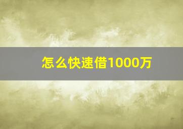 怎么快速借1000万