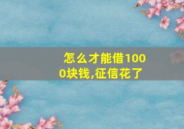 怎么才能借1000块钱,征信花了