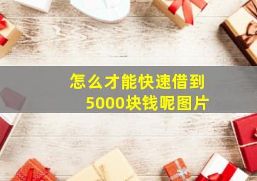 怎么才能快速借到5000块钱呢图片