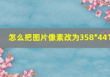 怎么把图片像素改为358*441