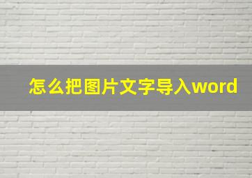 怎么把图片文字导入word