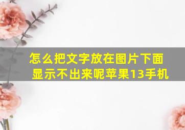 怎么把文字放在图片下面显示不出来呢苹果13手机