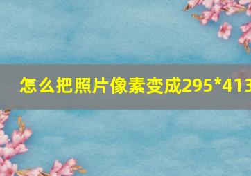 怎么把照片像素变成295*413