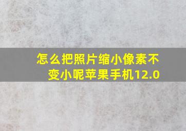 怎么把照片缩小像素不变小呢苹果手机12.0