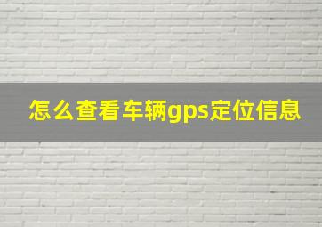 怎么查看车辆gps定位信息