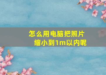 怎么用电脑把照片缩小到1m以内呢