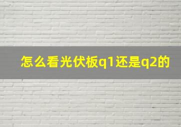 怎么看光伏板q1还是q2的