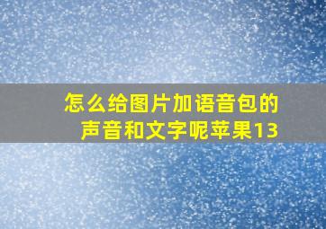 怎么给图片加语音包的声音和文字呢苹果13