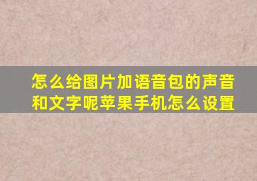 怎么给图片加语音包的声音和文字呢苹果手机怎么设置