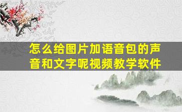 怎么给图片加语音包的声音和文字呢视频教学软件