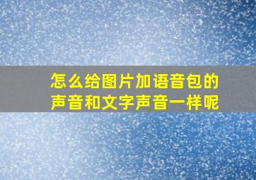 怎么给图片加语音包的声音和文字声音一样呢