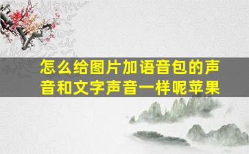 怎么给图片加语音包的声音和文字声音一样呢苹果