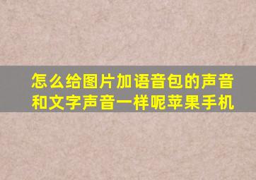 怎么给图片加语音包的声音和文字声音一样呢苹果手机