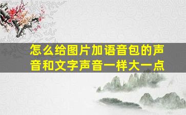 怎么给图片加语音包的声音和文字声音一样大一点