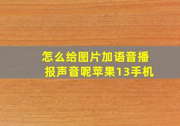 怎么给图片加语音播报声音呢苹果13手机