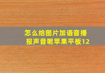 怎么给图片加语音播报声音呢苹果平板12