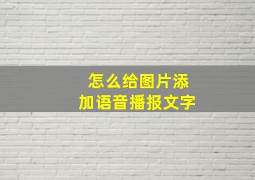 怎么给图片添加语音播报文字