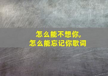 怎么能不想你,怎么能忘记你歌词