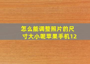 怎么能调整照片的尺寸大小呢苹果手机12