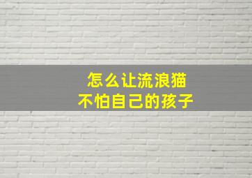 怎么让流浪猫不怕自己的孩子