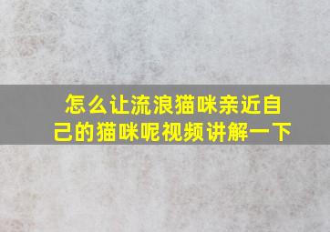 怎么让流浪猫咪亲近自己的猫咪呢视频讲解一下