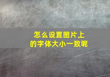 怎么设置图片上的字体大小一致呢