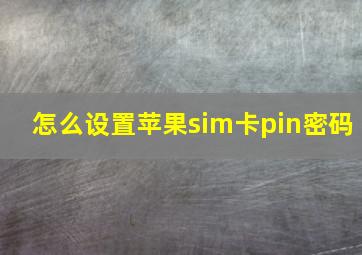 怎么设置苹果sim卡pin密码