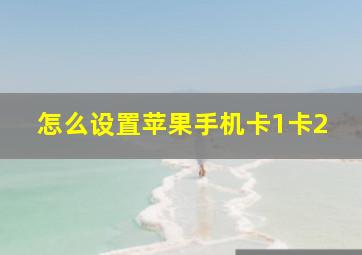 怎么设置苹果手机卡1卡2