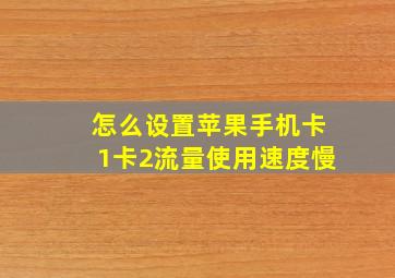 怎么设置苹果手机卡1卡2流量使用速度慢