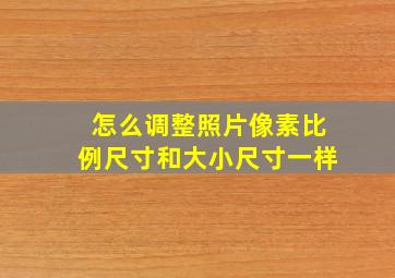 怎么调整照片像素比例尺寸和大小尺寸一样