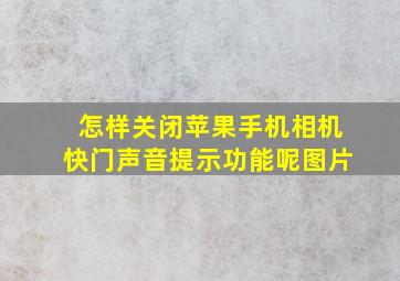 怎样关闭苹果手机相机快门声音提示功能呢图片