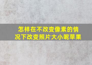 怎样在不改变像素的情况下改变照片大小呢苹果