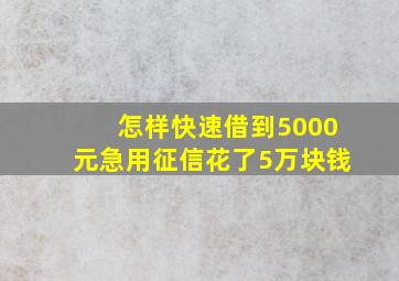 怎样快速借到5000元急用征信花了5万块钱