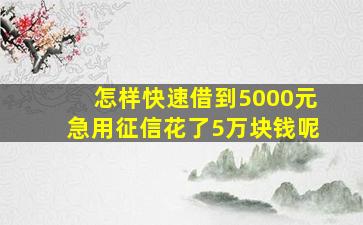 怎样快速借到5000元急用征信花了5万块钱呢