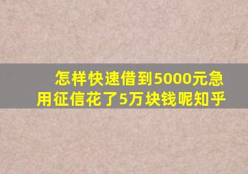 怎样快速借到5000元急用征信花了5万块钱呢知乎