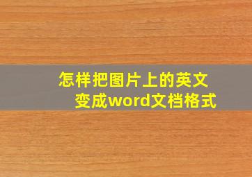 怎样把图片上的英文变成word文档格式