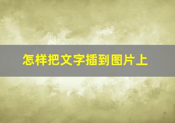 怎样把文字插到图片上