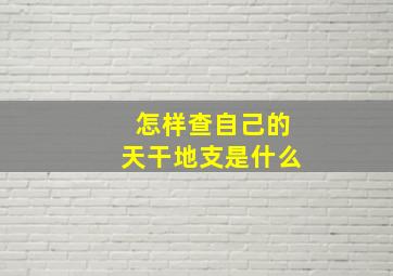 怎样查自己的天干地支是什么