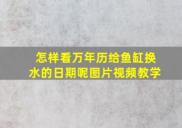 怎样看万年历给鱼缸换水的日期呢图片视频教学