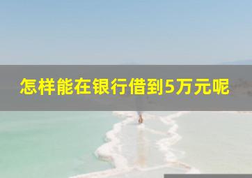 怎样能在银行借到5万元呢