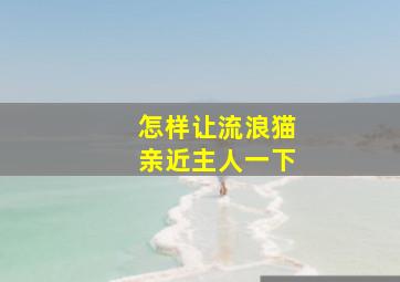 怎样让流浪猫亲近主人一下