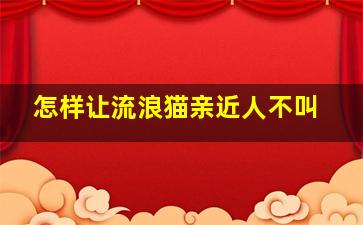 怎样让流浪猫亲近人不叫